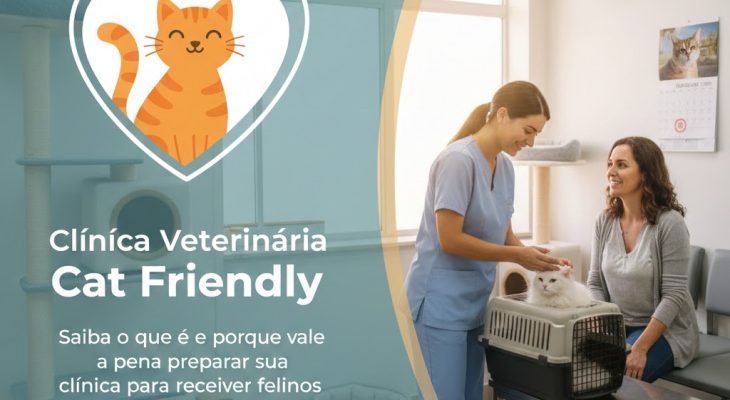 Saiba o que é Cat Friendly e porque vale a pena preparar sua clínica para receber felinos